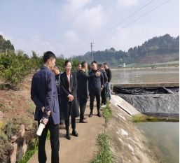 守护一泓清流 简阳金堂携手推进水产养殖尾水治理，共护阳化河流域生态