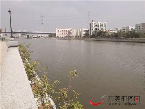 东莞扎实推进各项治水工作 水污染治理卓有成效