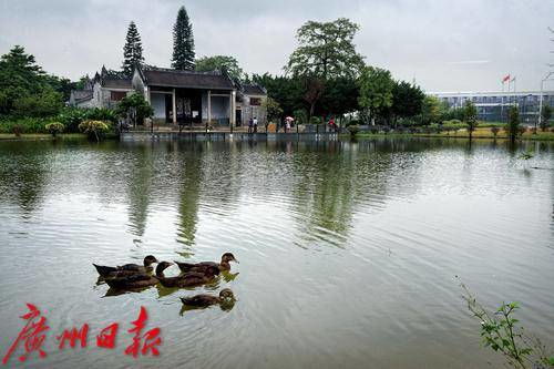 污水入厂 清水入河 广州奋力书写水污染防治攻坚战新篇章